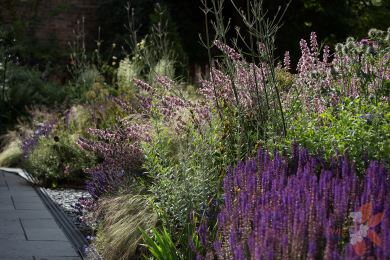 new perennial garden Scottish garden design portfolio Twig Garden