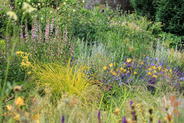 new perennial garden - Scottish garden design portfolio - Twig Garden