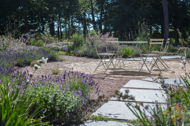 large East Lothian Garden design with cobbled courtyard patio surrounded by lavenders