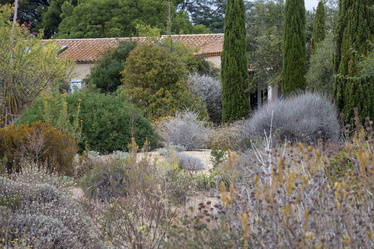gravel garden filled with dry loving mediterranean plants infront fo the home of Olivier and Clara Filippi at Le Jarden Sec, south france