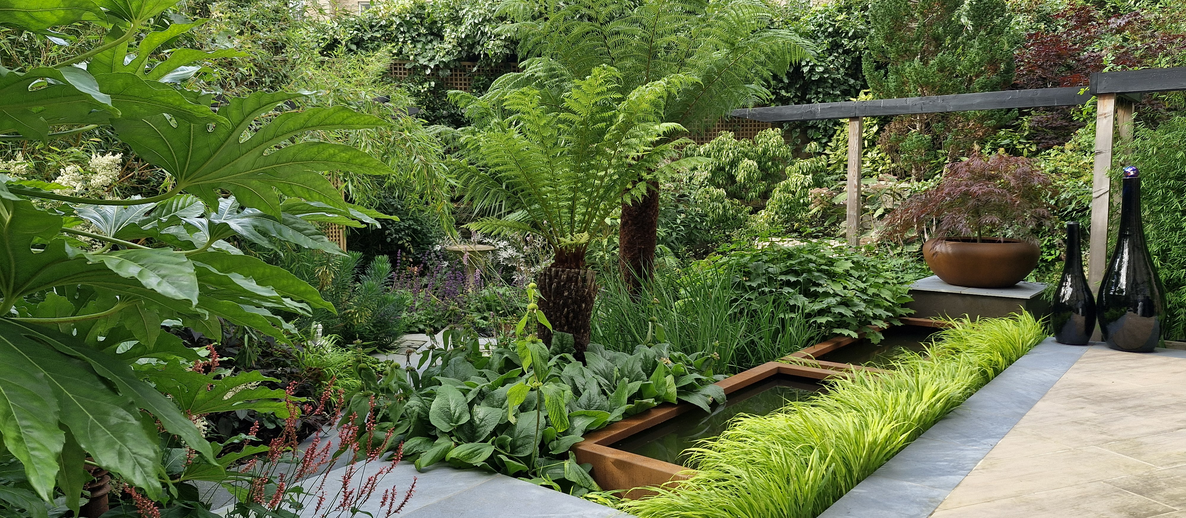 How to Design Your Garden UK: Transformative Tips